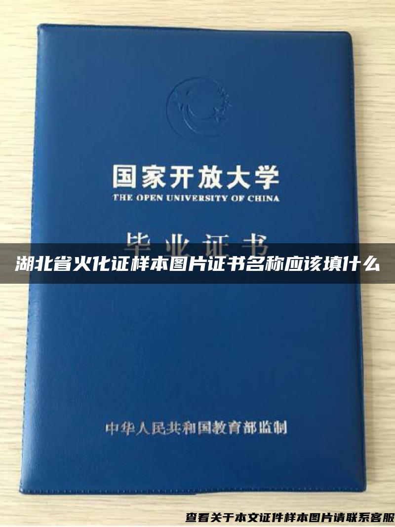 湖北省火化证样本图片证书名称应该填什么