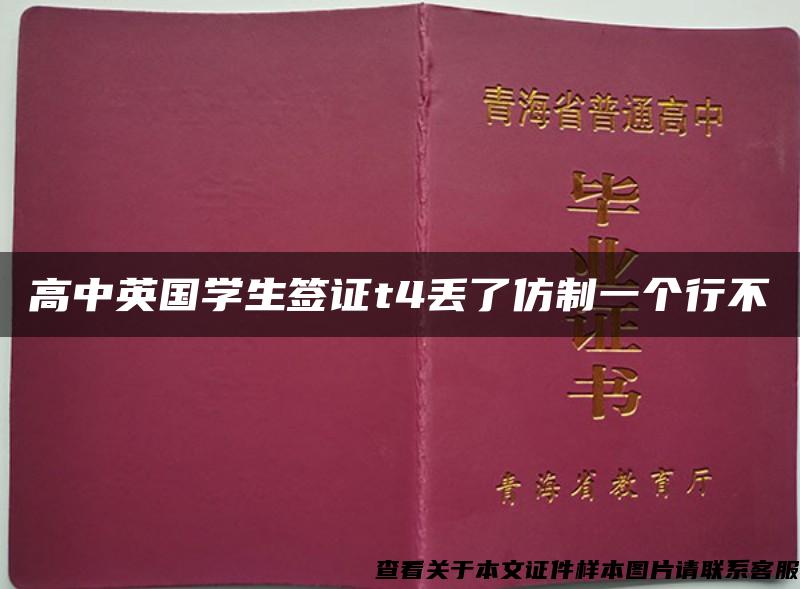 高中英国学生签证t4丢了仿制一个行不