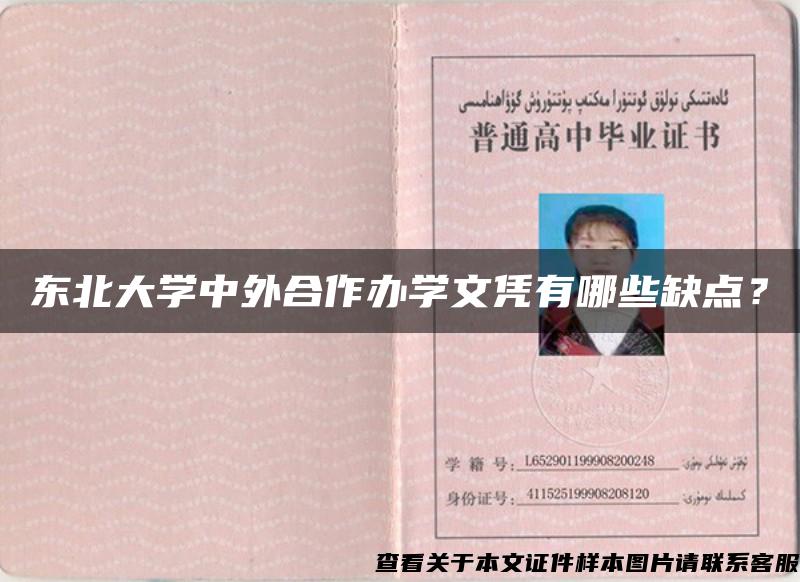 东北大学中外合作办学文凭有哪些缺点？