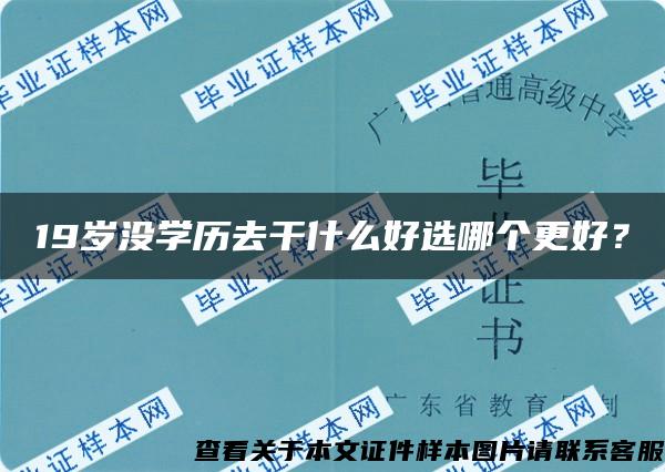 19岁没学历去干什么好选哪个更好？