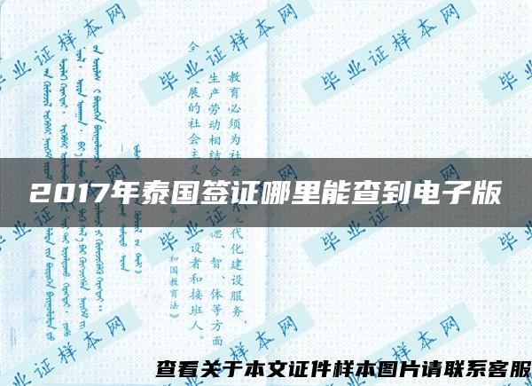 2017年泰国签证哪里能查到电子版