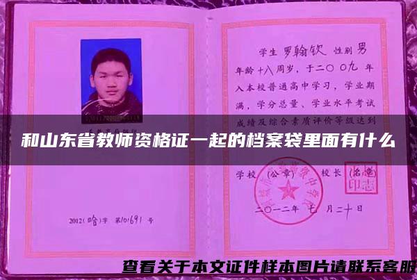 和山东省教师资格证一起的档案袋里面有什么