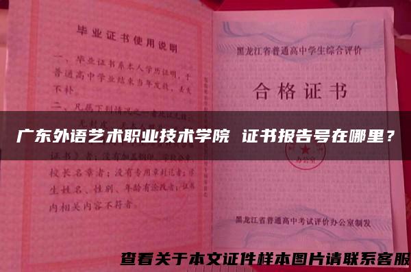 广东外语艺术职业技术学院 证书报告号在哪里？