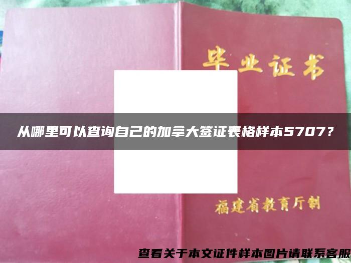 从哪里可以查询自己的加拿大签证表格样本5707？