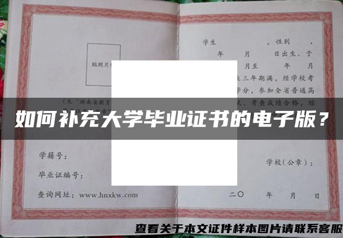 如何补充大学毕业证书的电子版？