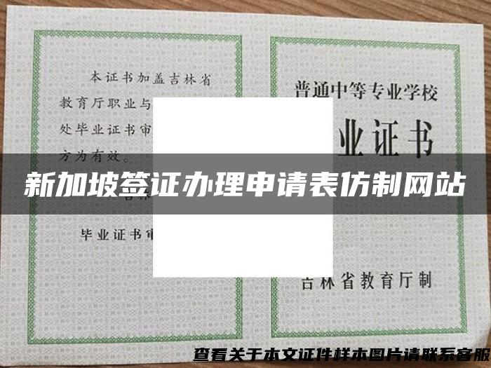 新加坡签证办理申请表仿制网站