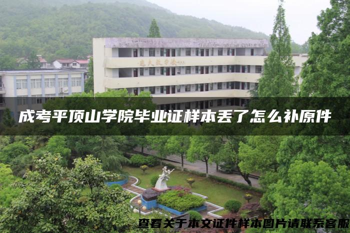 成考平顶山学院毕业证样本丢了怎么补原件