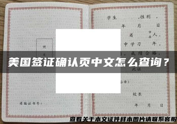 美国签证确认页中文怎么查询？