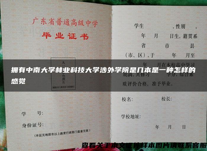 拥有中南大学林业科技大学涉外学院是几本是一种怎样的感觉