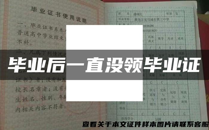 毕业后一直没领毕业证