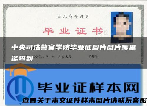 中央司法警官学院毕业证图片图片哪里能查到