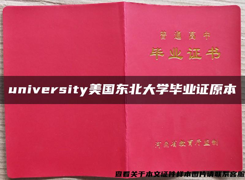 university美国东北大学毕业证原本