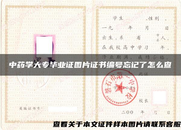 中药学大专毕业证图片证书编号忘记了怎么查