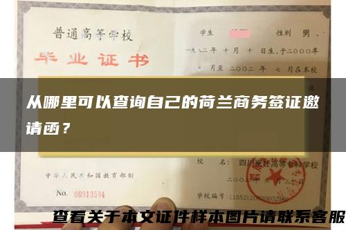 从哪里可以查询自己的荷兰商务签证邀请函？