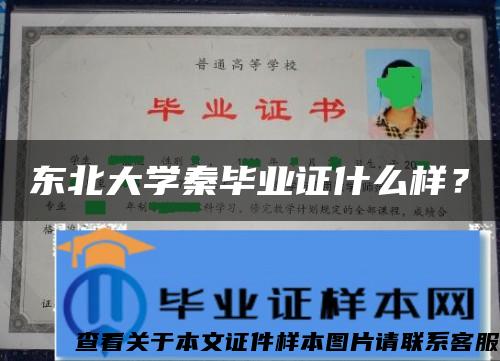 东北大学秦毕业证什么样？