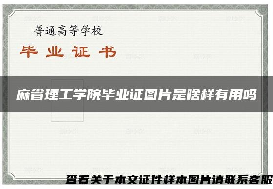 麻省理工学院毕业证图片是啥样有用吗