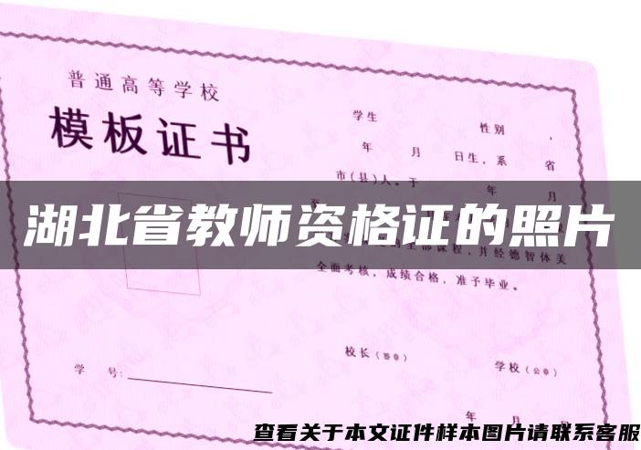 湖北省教师资格证的照片