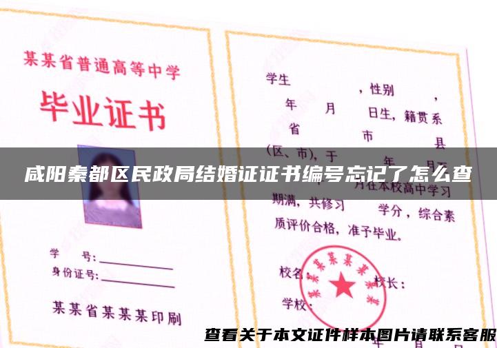 咸阳秦都区民政局结婚证证书编号忘记了怎么查