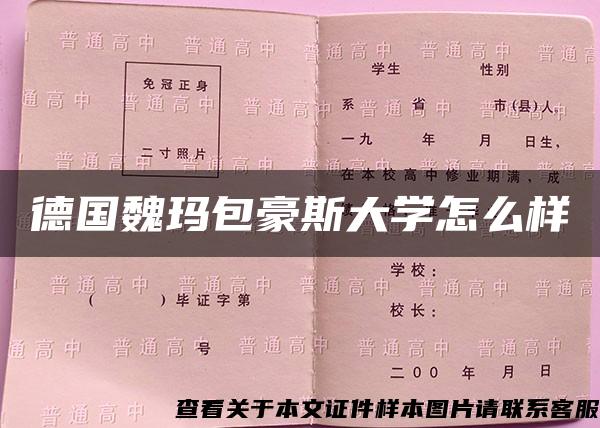 德国魏玛包豪斯大学怎么样