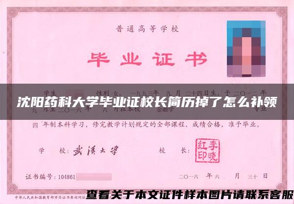 沈阳药科大学毕业证校长简历掉了怎么补领