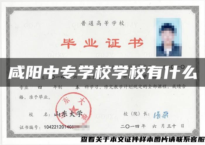 咸阳中专学校学校有什么