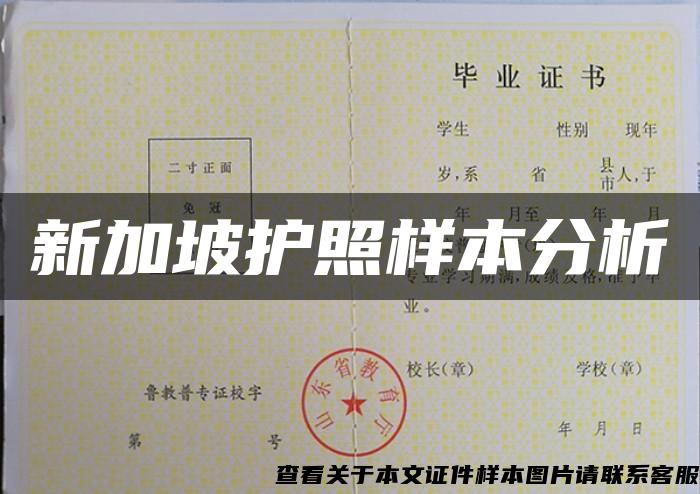 新加坡护照样本分析