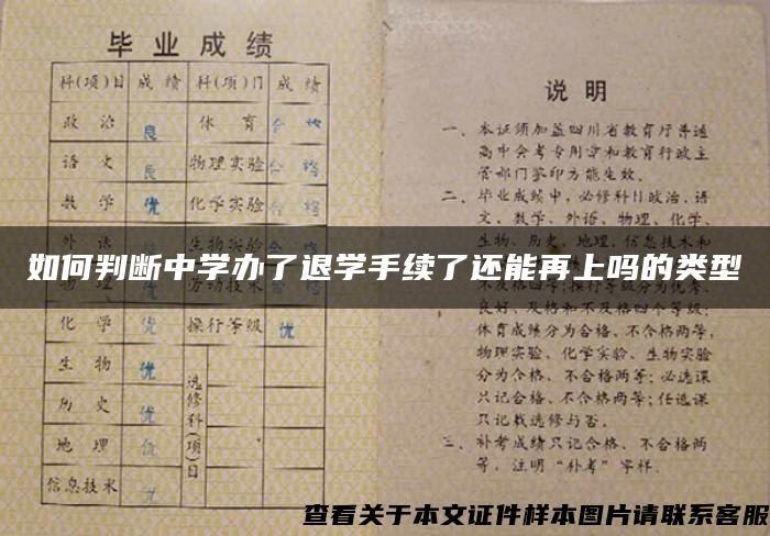 如何判断中学办了退学手续了还能再上吗的类型