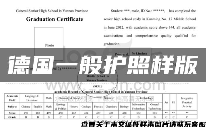 德国一般护照样版