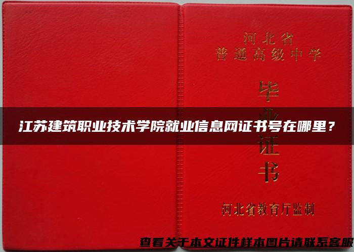 江苏建筑职业技术学院就业信息网证书号在哪里？