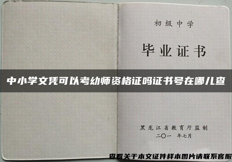 中小学文凭可以考幼师资格证吗证书号在哪儿查