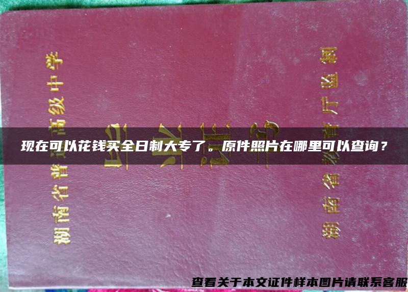 现在可以花钱买全日制大专了。原件照片在哪里可以查询？