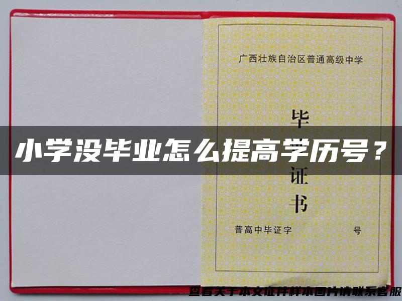 小学没毕业怎么提高学历号？