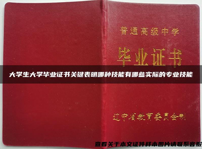 大学生大学毕业证书关键表明哪种技能有哪些实际的专业技能