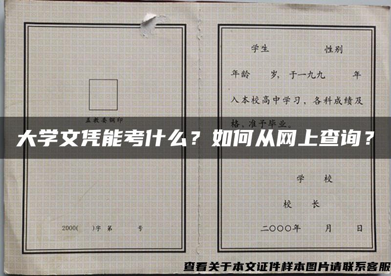 大学文凭能考什么？如何从网上查询？