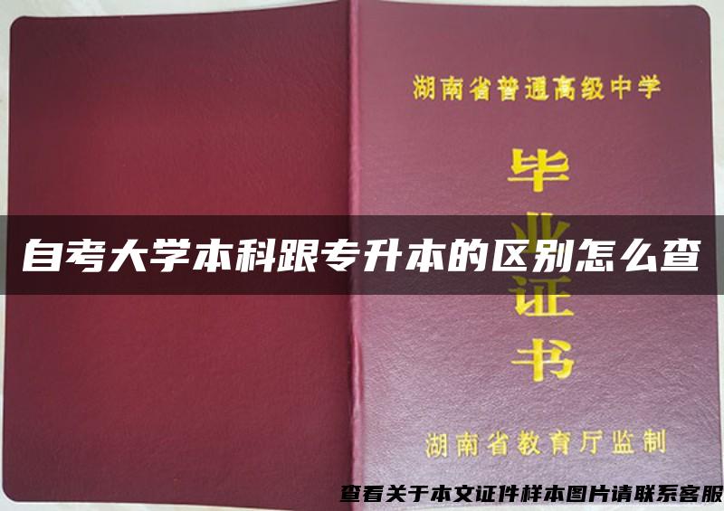 自考大学本科跟专升本的区别怎么查