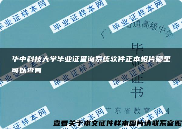 华中科技大学毕业证查询系统软件正本相片哪里可以查看