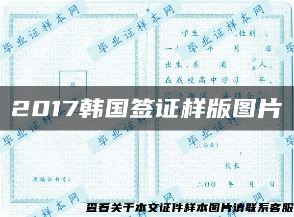 2017韩国签证样版图片