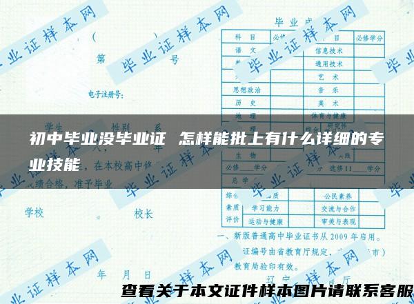 初中毕业没毕业证 怎样能批上有什么详细的专业技能