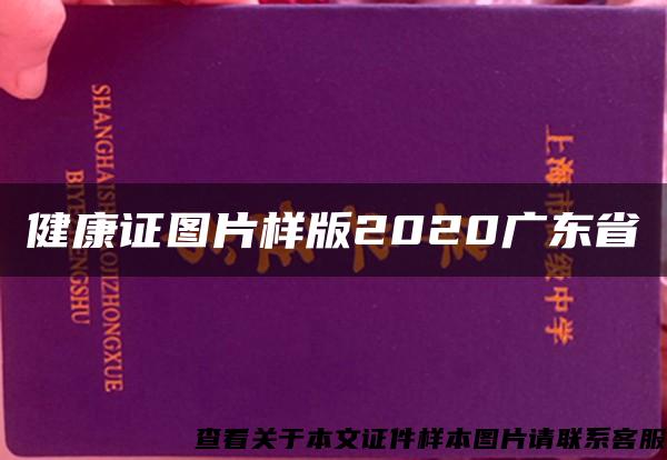 健康证图片样版2020广东省