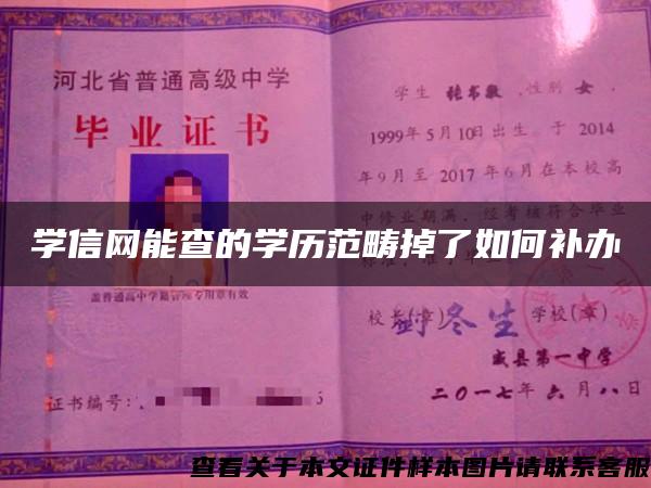 学信网能查的学历范畴掉了如何补办