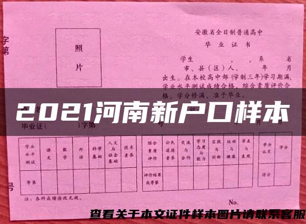 2021河南新户口样本