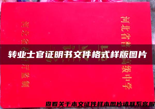 转业士官证明书文件格式样版图片