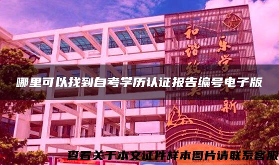 哪里可以找到自考学历认证报告编号电子版