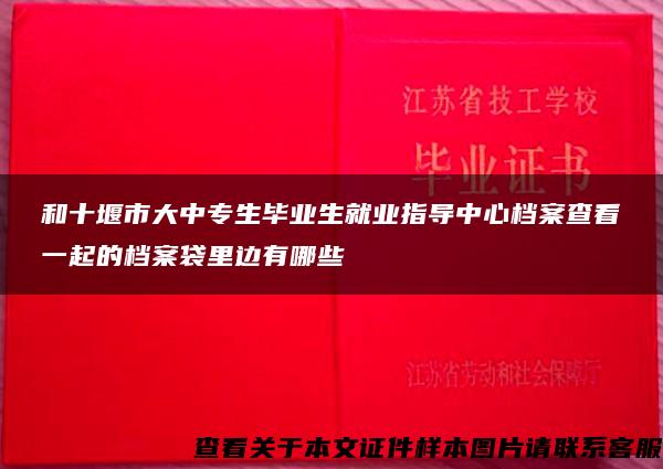 和十堰市大中专生毕业生就业指导中心档案查看一起的档案袋里边有哪些