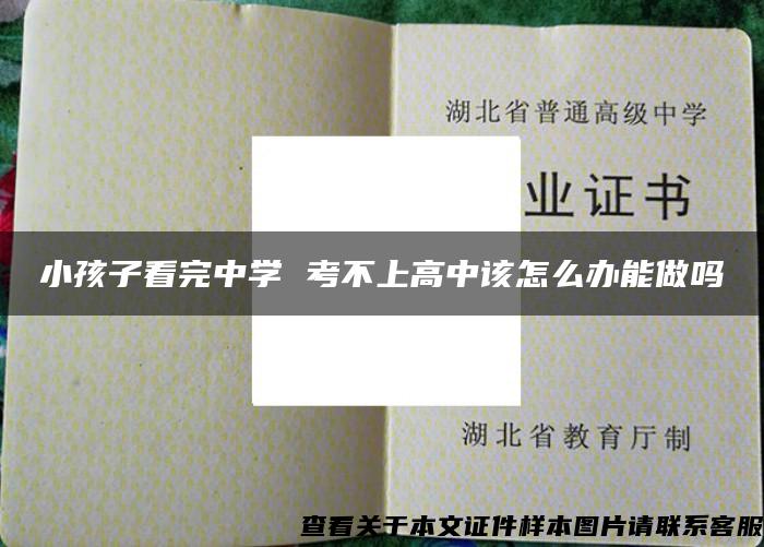 小孩子看完中学 考不上高中该怎么办能做吗