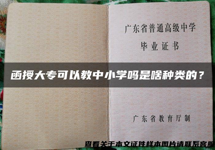 函授大专可以教中小学吗是啥种类的？