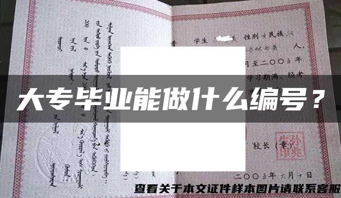 大专毕业能做什么编号？