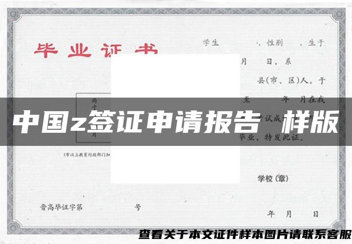 中国z签证申请报告 样版