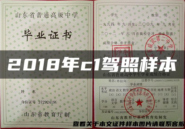 2018年c1驾照样本