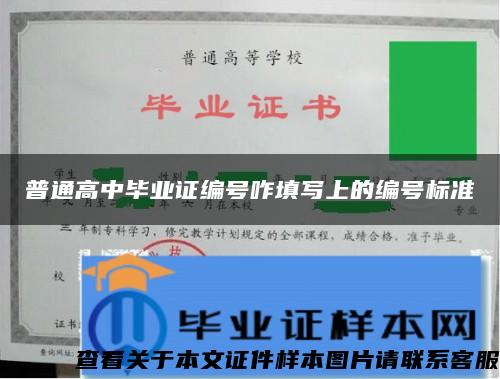 普通高中毕业证编号咋填写上的编号标准